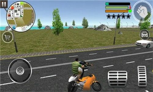 真实侠盗之城 真实侠盗之城