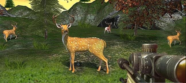 野鹿狩猎 野鹿狩猎