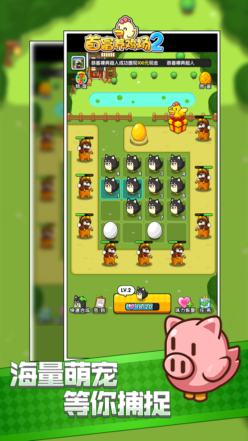 首富养鸡场 首富养鸡场