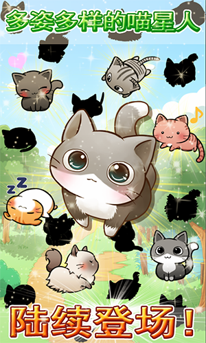 猫的生活app 猫的生活app