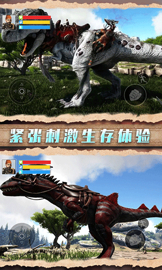 野外生存指南 野外生存指南