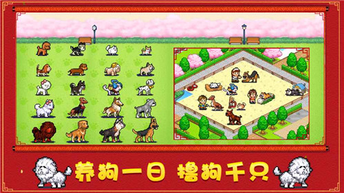 发现狗狗乐园 发现狗狗乐园