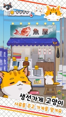 鱼店猫老板 鱼店猫老板