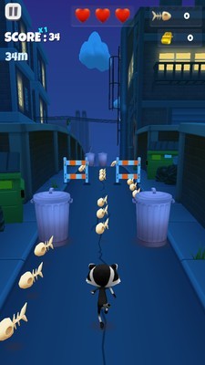 会跑酷的猫 会跑酷的猫