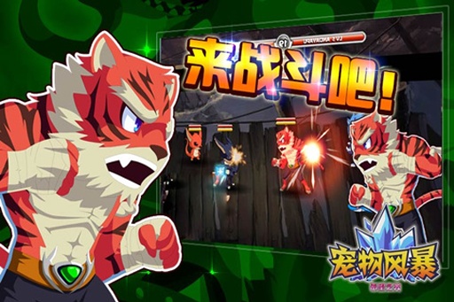 宠物风暴 宠物风暴