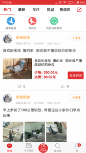 搜鸽天下-赛鸽头条重磅升级 搜鸽天下-赛鸽头条重磅升级