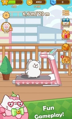 奔跑小猫 奔跑小猫