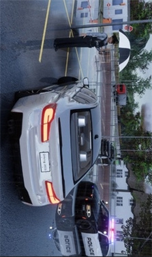 驾驶学校 驾驶学校