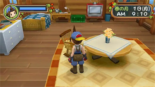 牧场物语 蜜糖村与大家的心愿 牧场物语 蜜糖村与大家的心愿