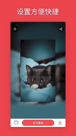 安卓动态壁纸 安卓动态壁纸