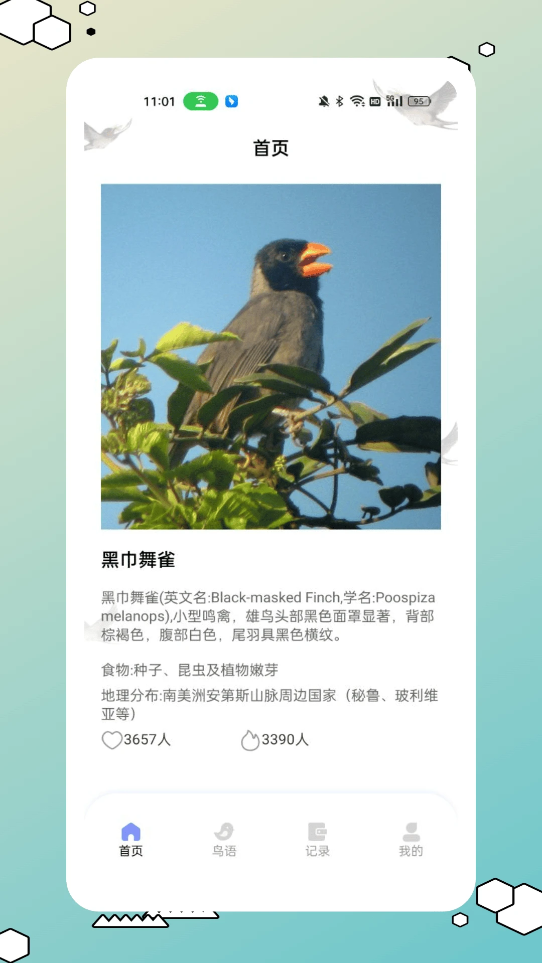 鸟类百科 鸟类百科