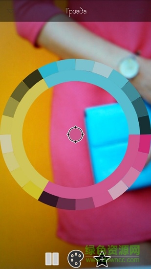 实时调色板live palettes 实时调色板live palettes