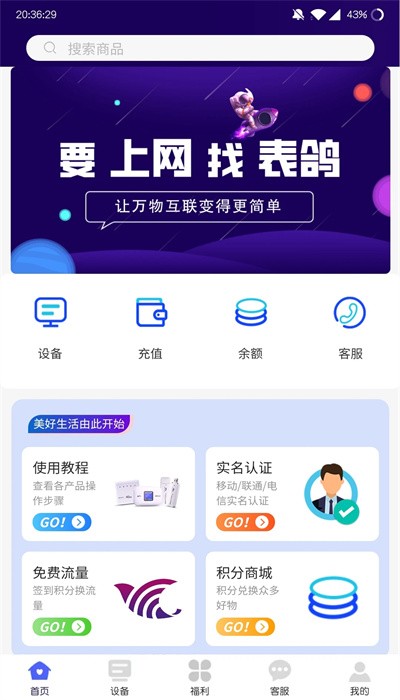 表鸽 表鸽