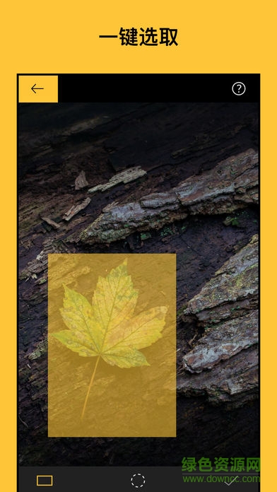 调色大师 调色大师