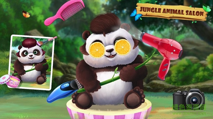 丛林动物沙龙(Jungle Animal Salon) 丛林动物沙龙(Jungle Animal Salon)