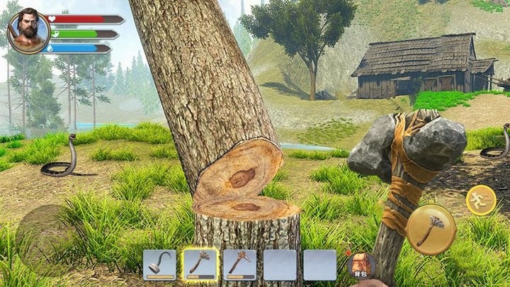 荒岛余生3D 荒岛余生3D