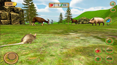 野生老鼠模拟器 野生老鼠模拟器