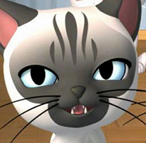 会说话的猫