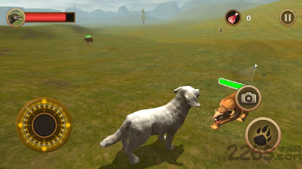 牧羊犬模拟器 牧羊犬模拟器