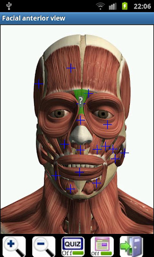 3d虚拟人体解剖(Visual Anatomy) 3d虚拟人体解剖(Visual Anatomy)