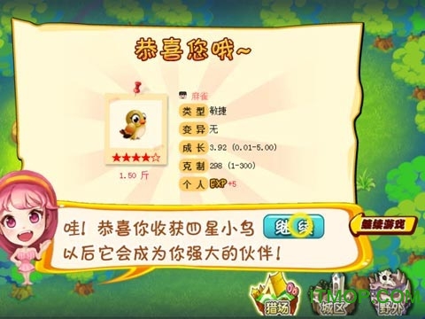 小鸟情人 小鸟情人