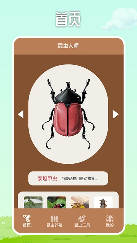 虫虫帮手 虫虫帮手