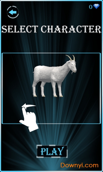 公路上的动物 公路上的动物