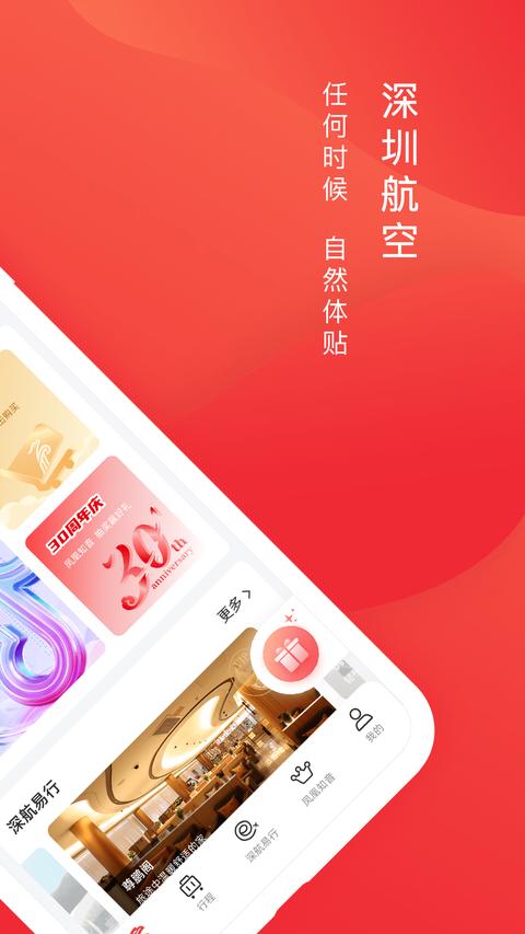 深圳航空 深圳航空