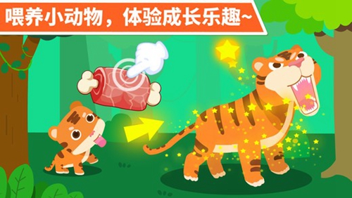 动物乐园 动物乐园