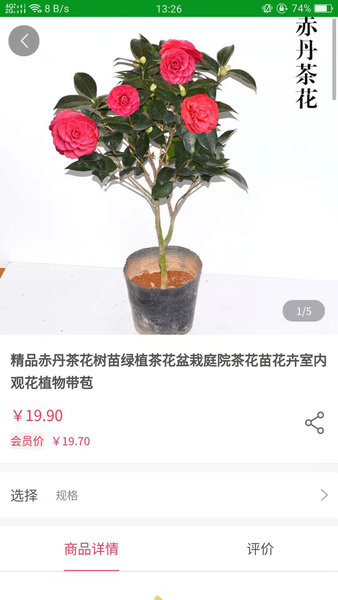 花博汇 花博汇