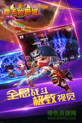 霸王的野望 霸王的野望