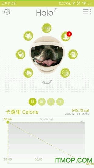halo kit智能宠物圈 halo kit智能宠物圈