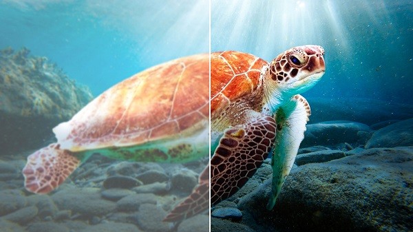 迅雷云盘app官网app 迅雷云盘app官网app