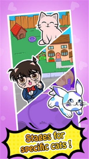 趣味猫咪 趣味猫咪