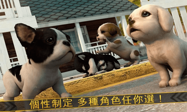 超级小汪大闯关 超级小汪大闯关