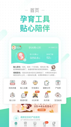 孕期伴侣 孕期伴侣