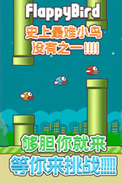 飞翔的小鸟 飞翔的小鸟