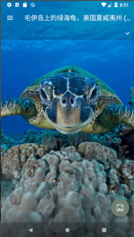 必应每日壁纸 必应每日壁纸