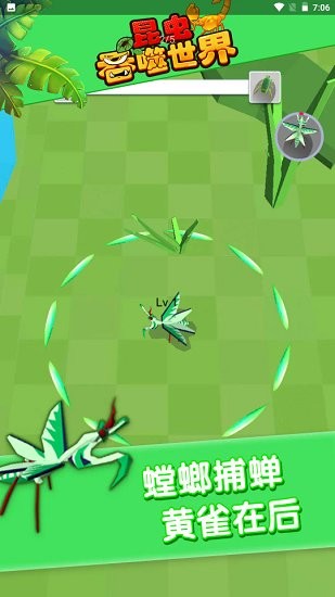 昆虫吞噬世界 昆虫吞噬世界