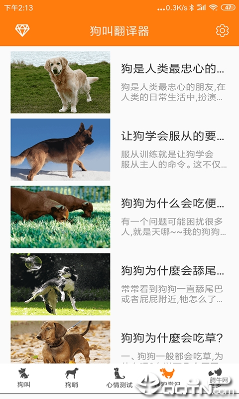 猫叫狗叫翻译器 猫叫狗叫翻译器