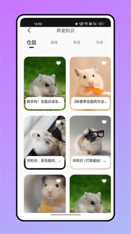 语音翻译 语音翻译