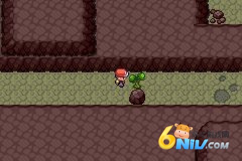 口袋妖怪白金鬼龙 口袋妖怪白金鬼龙