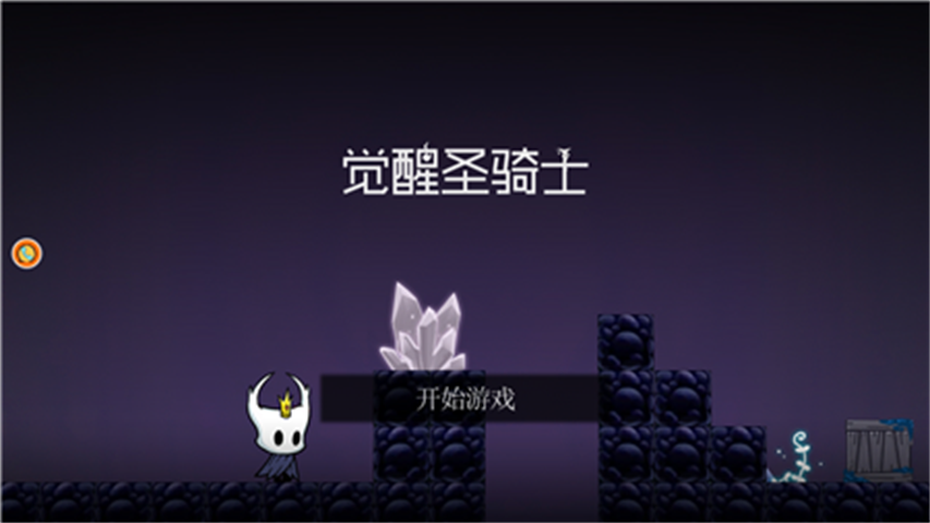 觉醒圣骑士 觉醒圣骑士