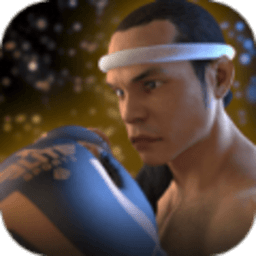 泰拳2格斗冲突游戏最新版
