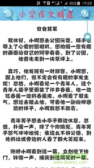 小学作文精选 小学作文精选