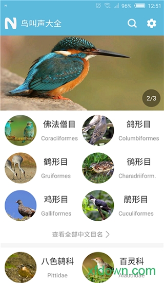 鸟叫声大全 鸟叫声大全