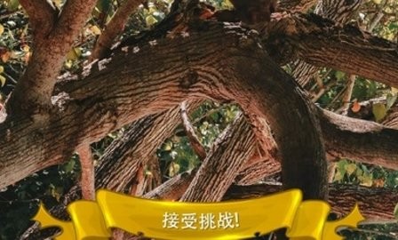 寻找猫隐藏对象3官方版 寻找猫隐藏对象3官方版