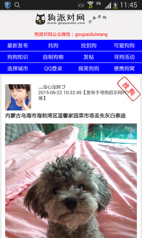 寻狗启示 寻狗启示