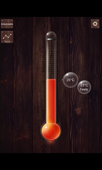 数字温度计 数字温度计