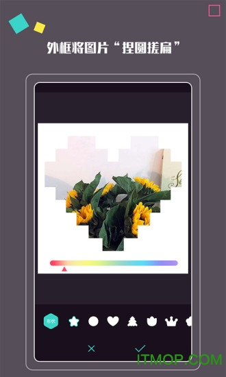 拍照大咖 拍照大咖